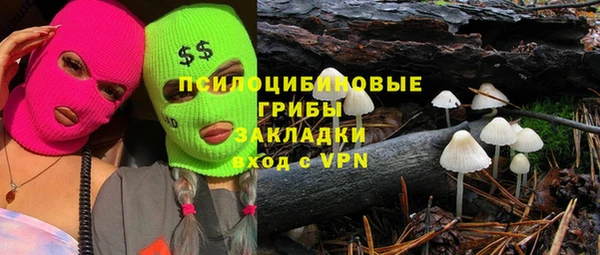 стаф Приозерск