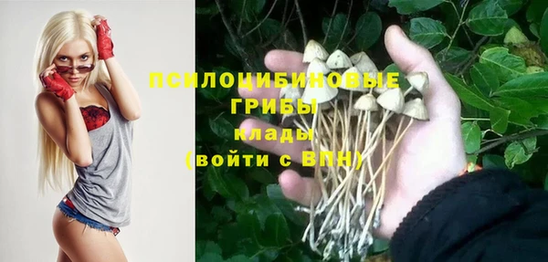 spice Протвино